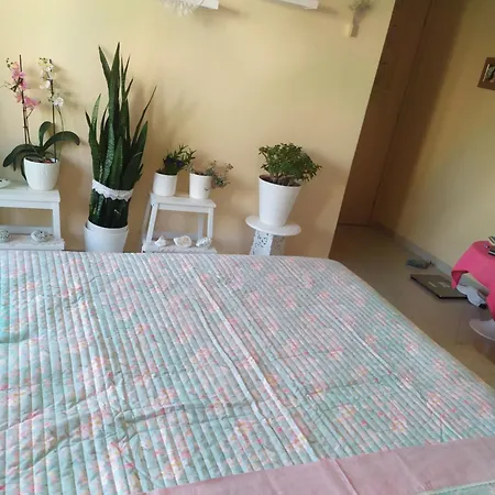 דירה Luxury In Front Of The Sea In