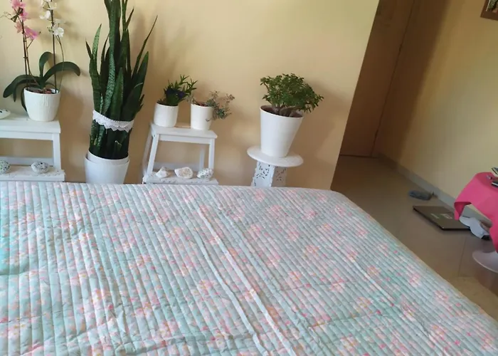 Apartamento Luxury In Front Of The Sea In